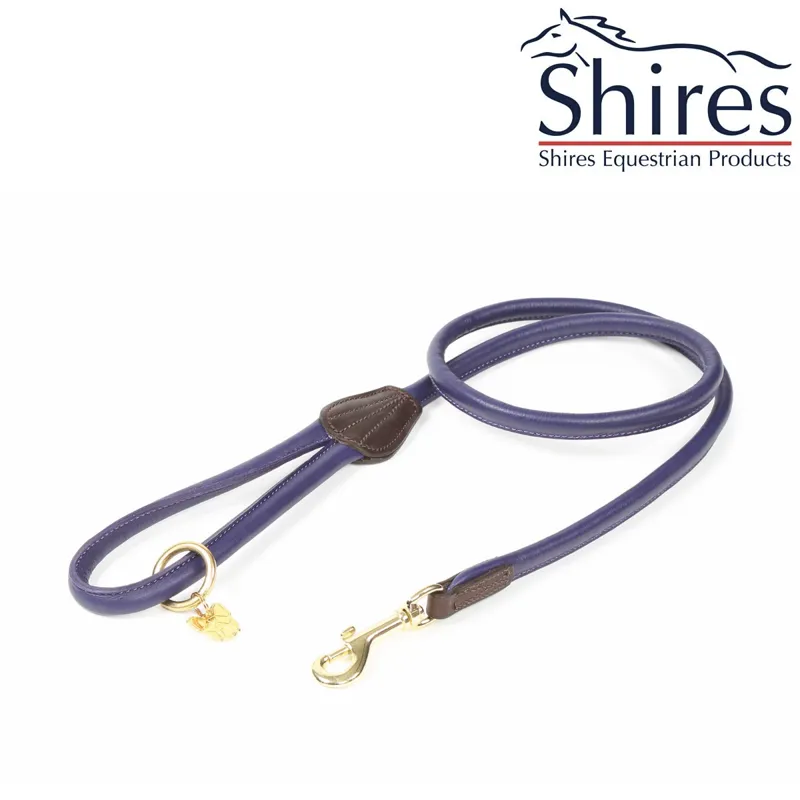 Digby and Fox Rolled Leather Dog Lead - Purple